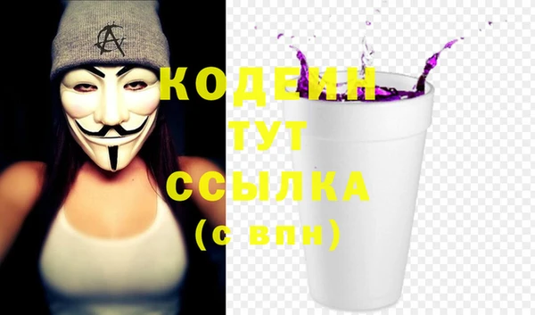 тгк Пересвет